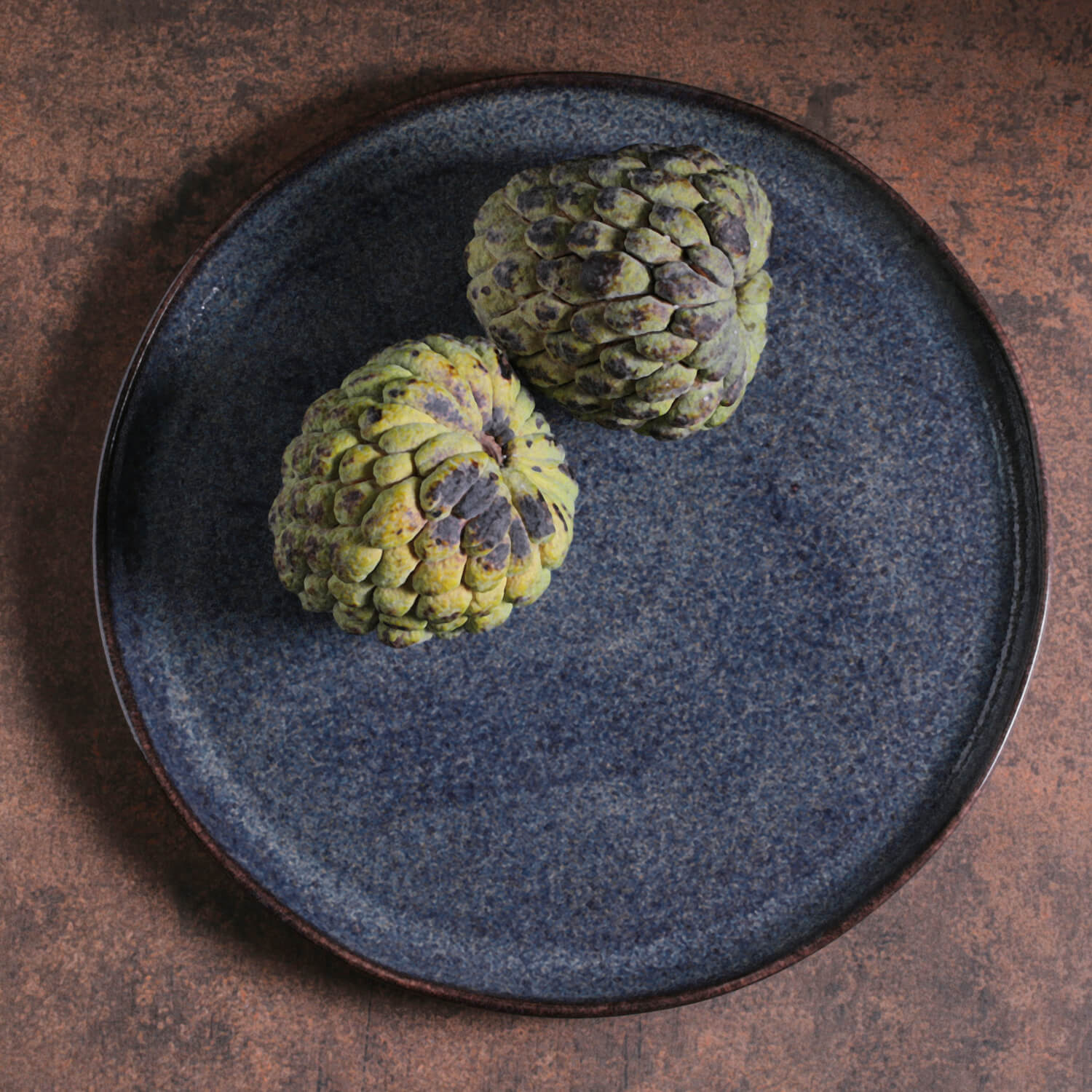 Buffet Dinner Plate Set of 6 by Porto Brasil