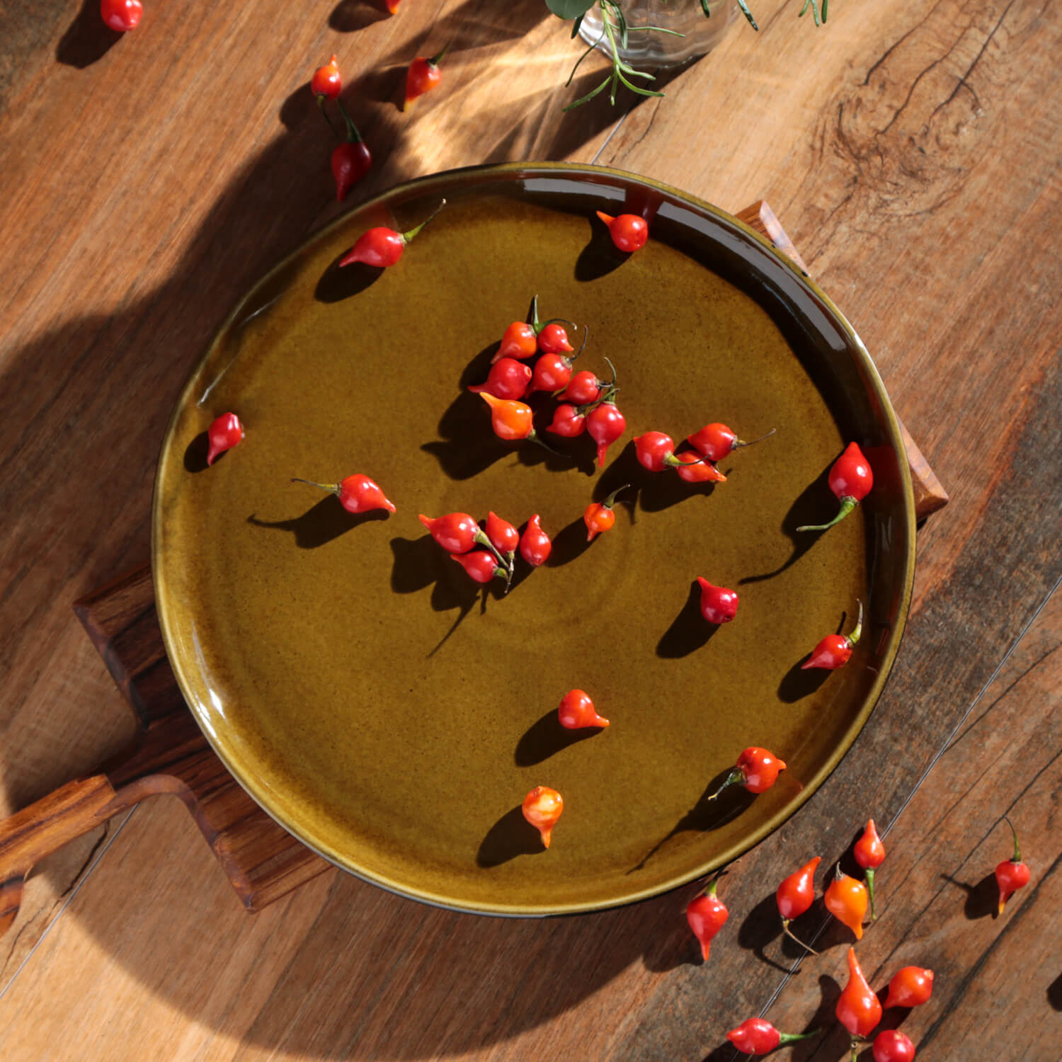 Dinner Plate Set of 6 by Porto Brasil