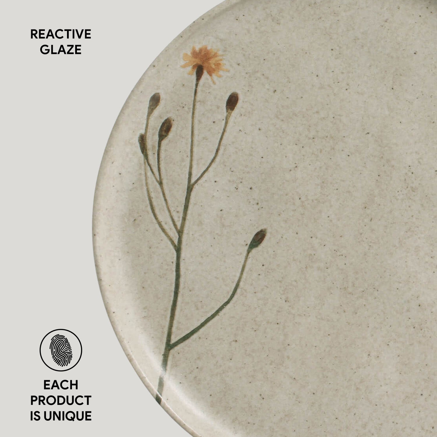 Dinner Plate Set of 6 by Porto Brasil