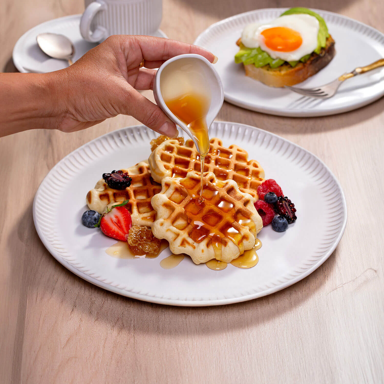 Dinner Plate Set of 6 by Porto Brasil