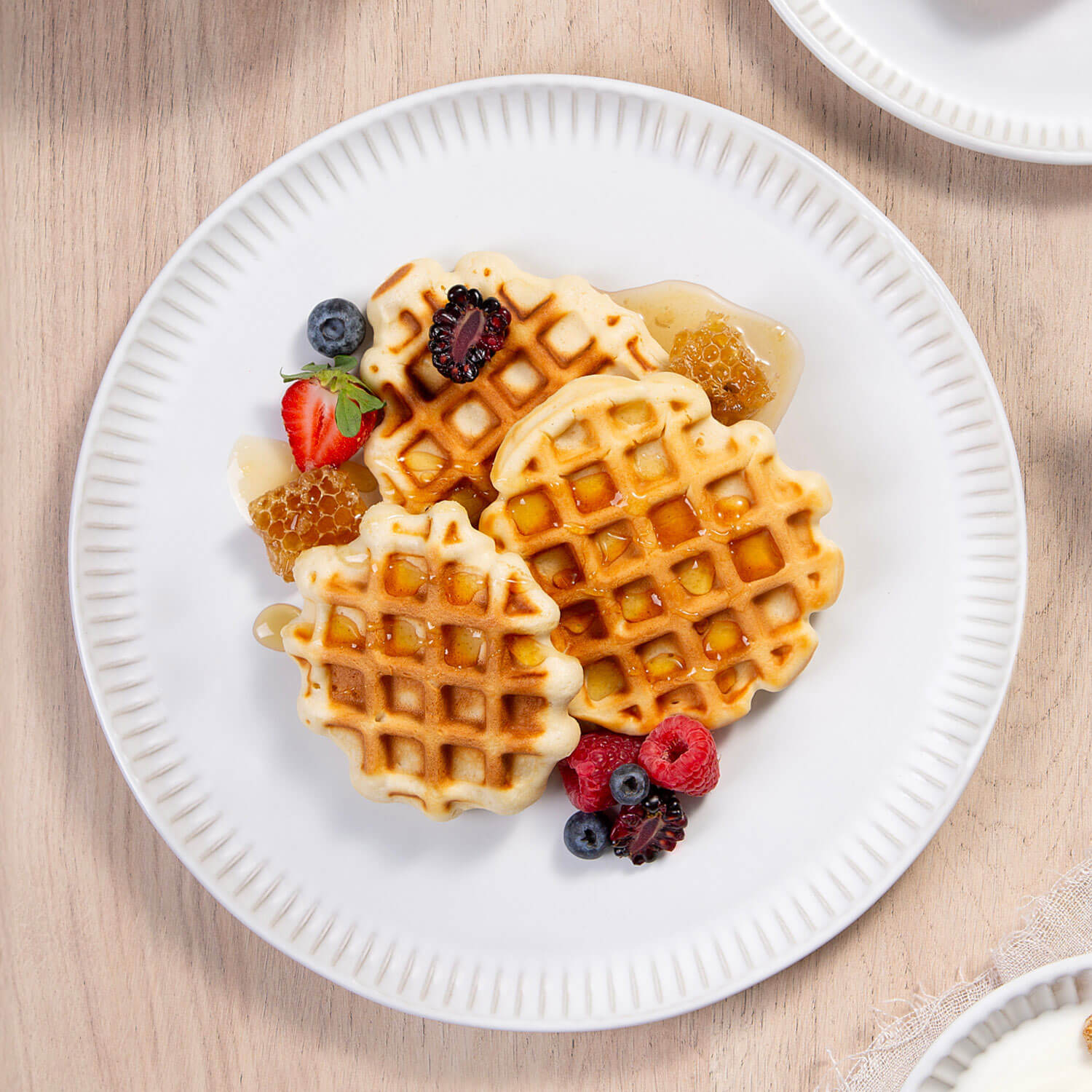 Dinner Plate Set of 6 by Porto Brasil