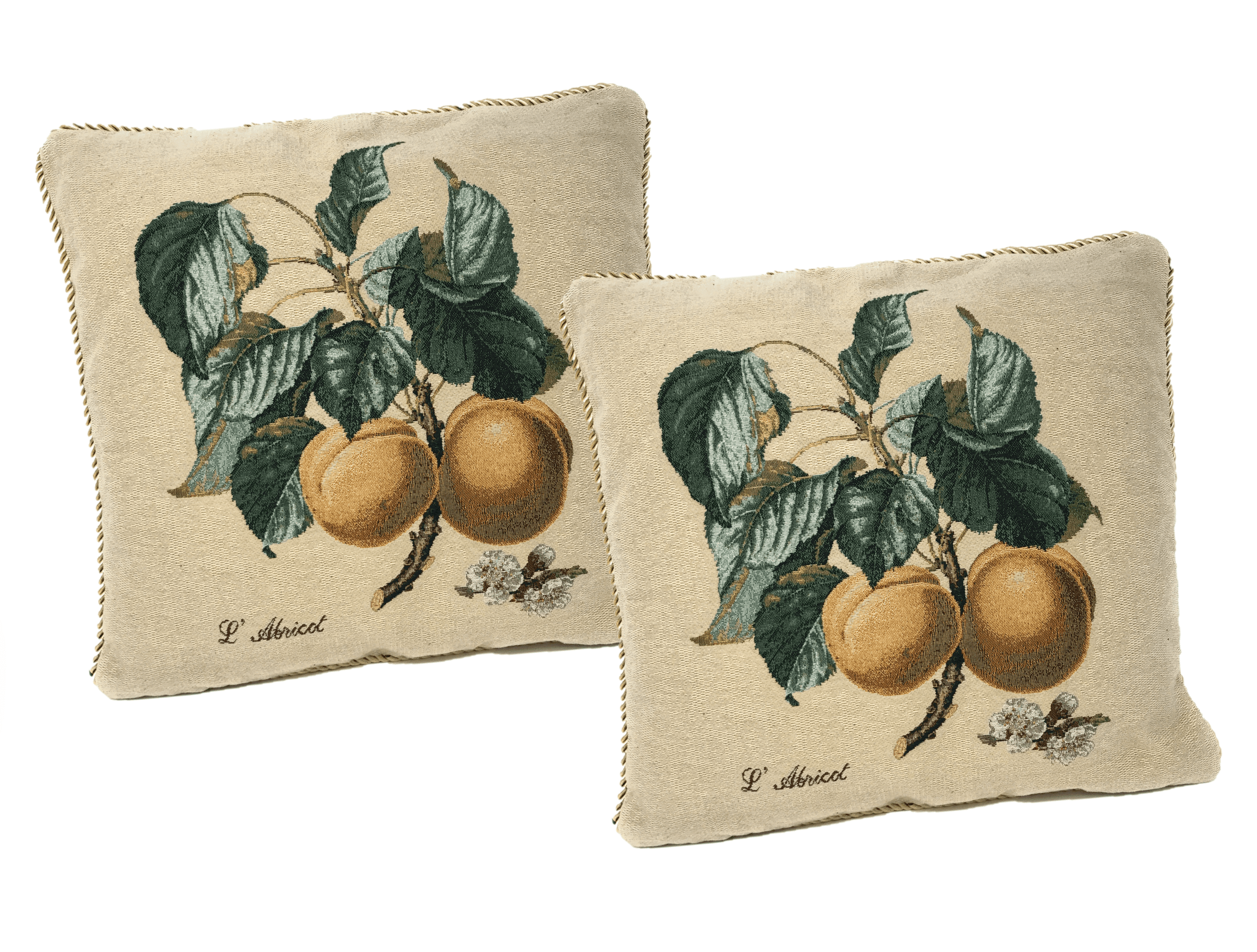 Set of 2 Yellow Apricot Fruits Throw Pillow Covers w/ Inserts