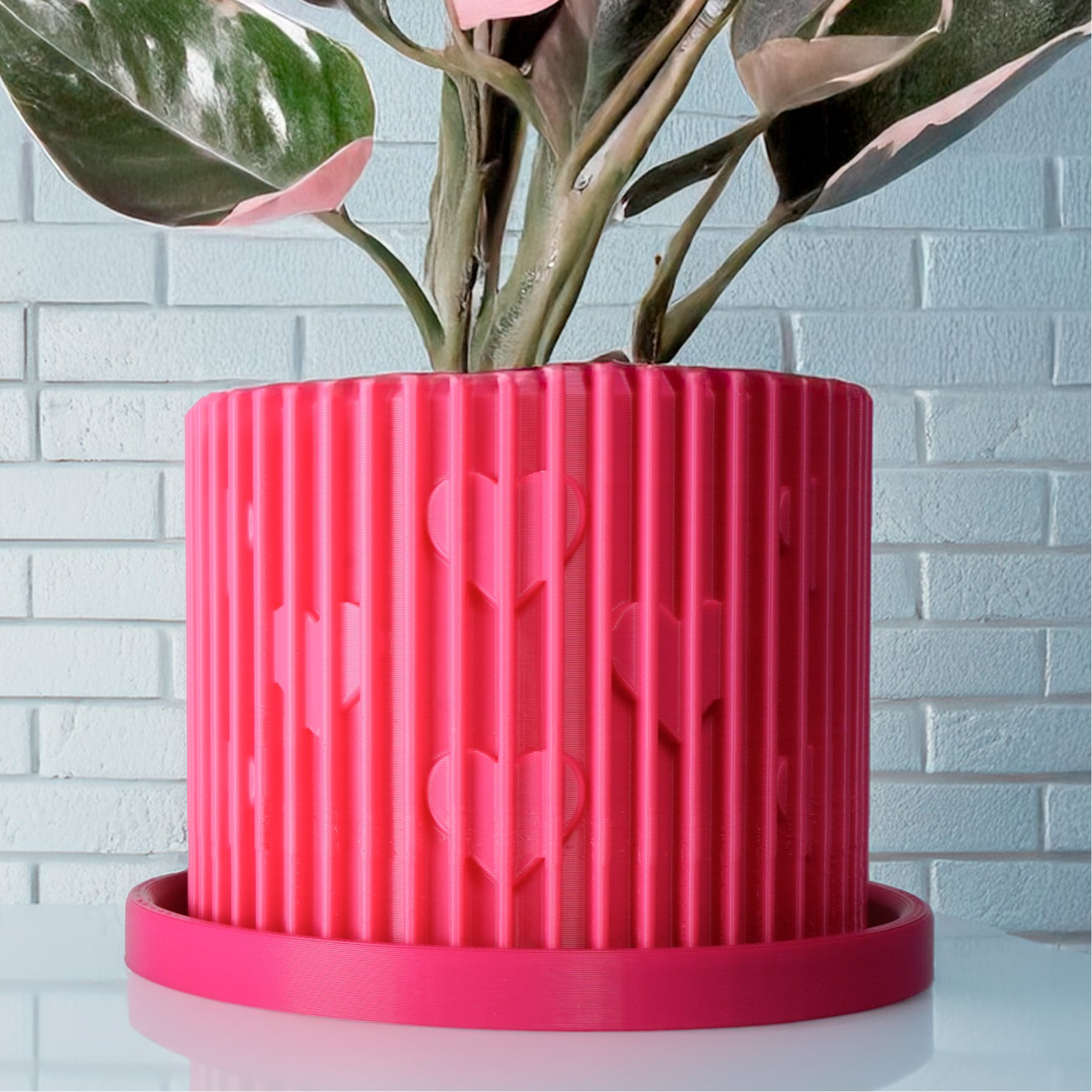Modern Heart-Shaped Planter with Drainage & Saucer – Valentine’s Day Gift
