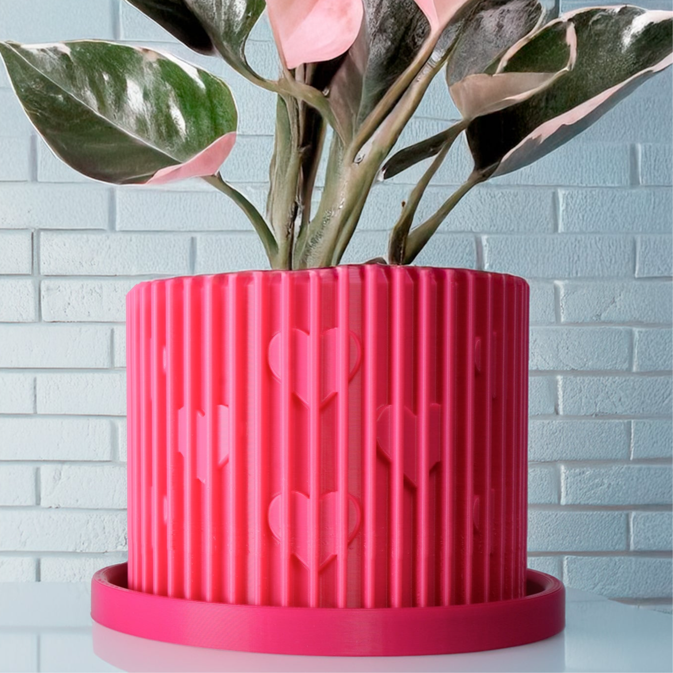 Modern Heart-Shaped Planter with Drainage & Saucer – Valentine’s Day Gift