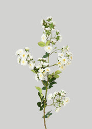Climbing Fake Roses Branch in Cream White - 33"