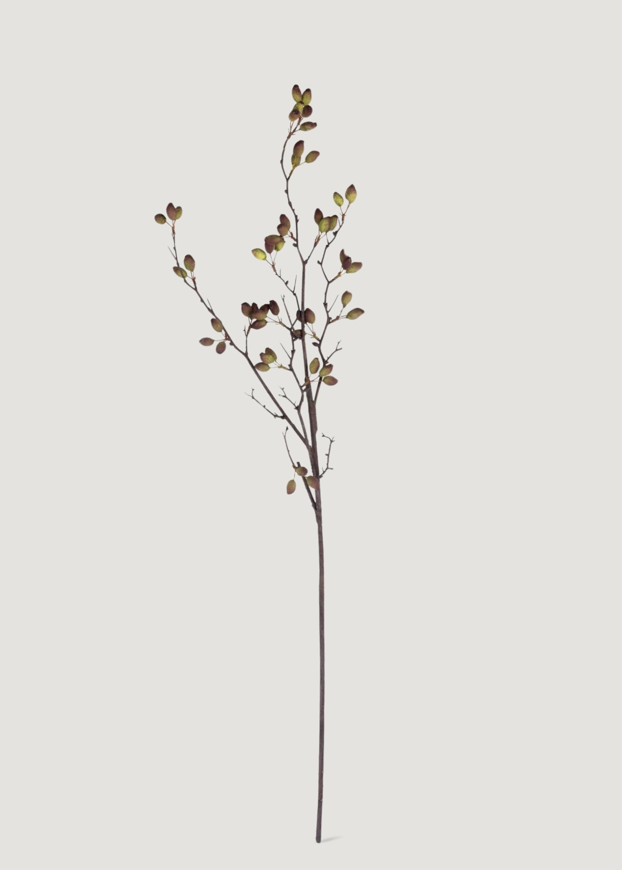 Fake Berries Tall Barberry Pod Branch - 37.75"