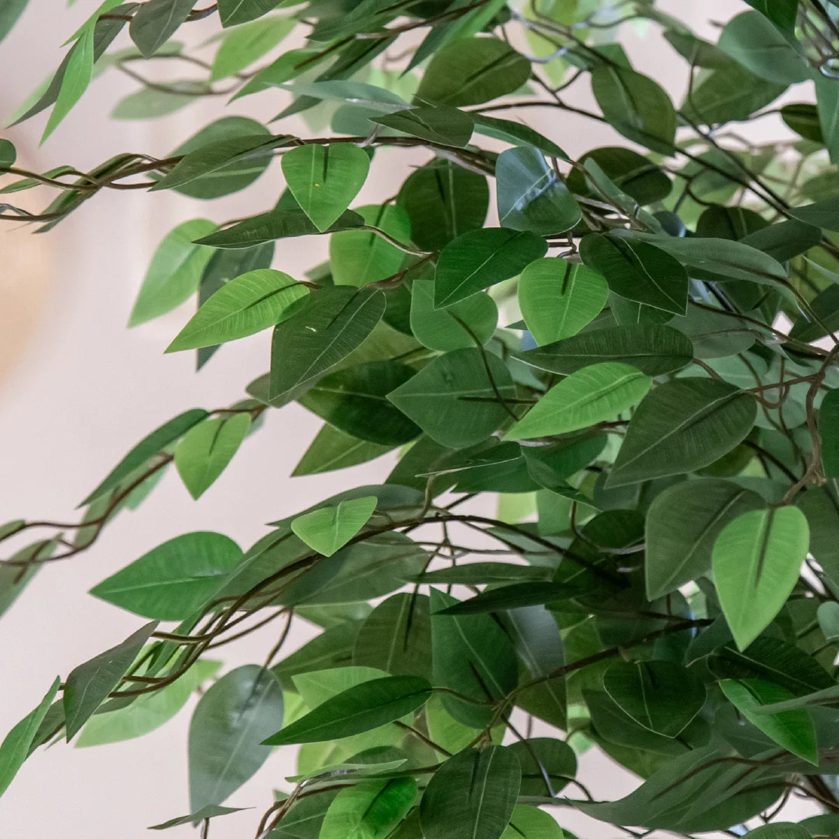 Artificial Ficus Tree Detail