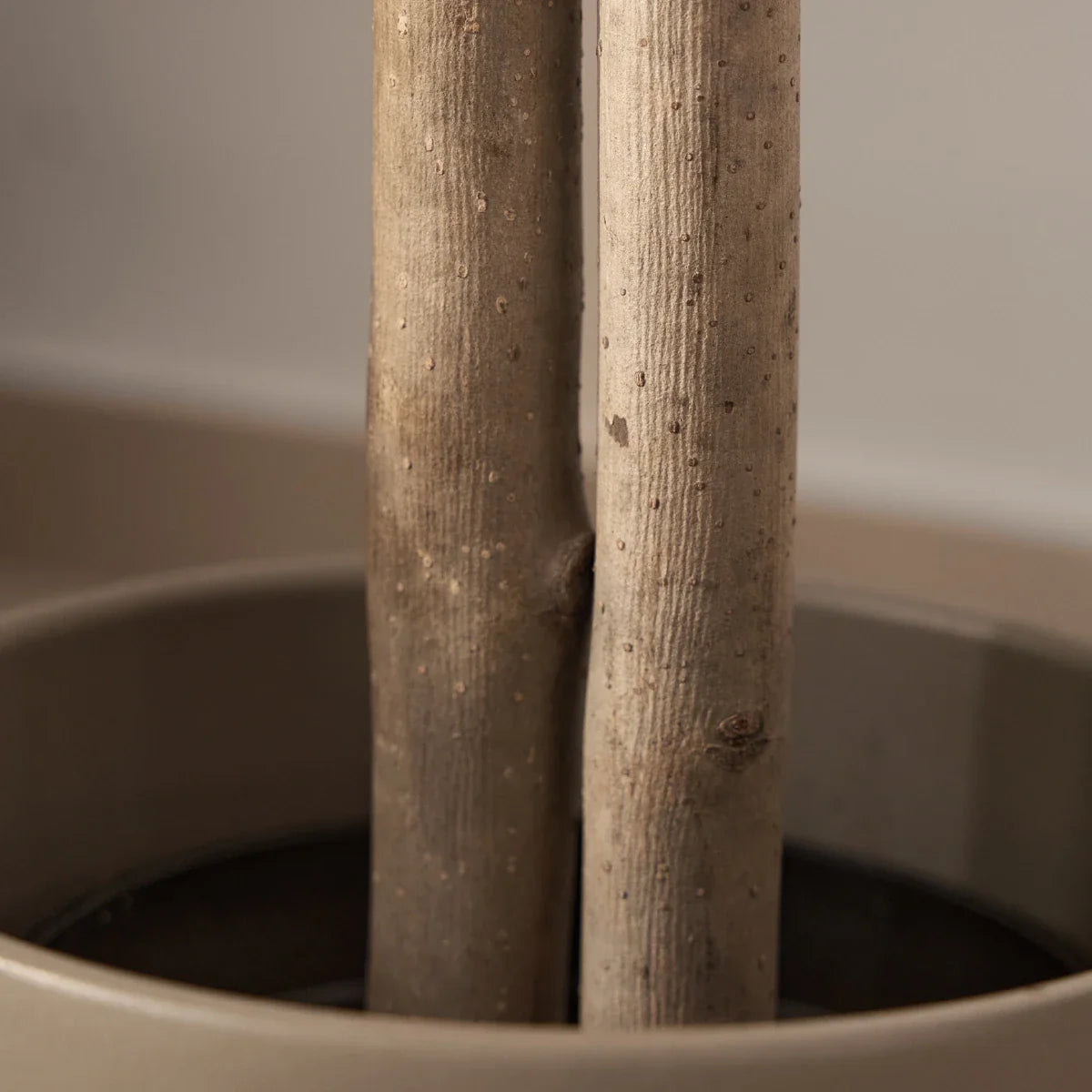 Artificial Olive Tree Trunk