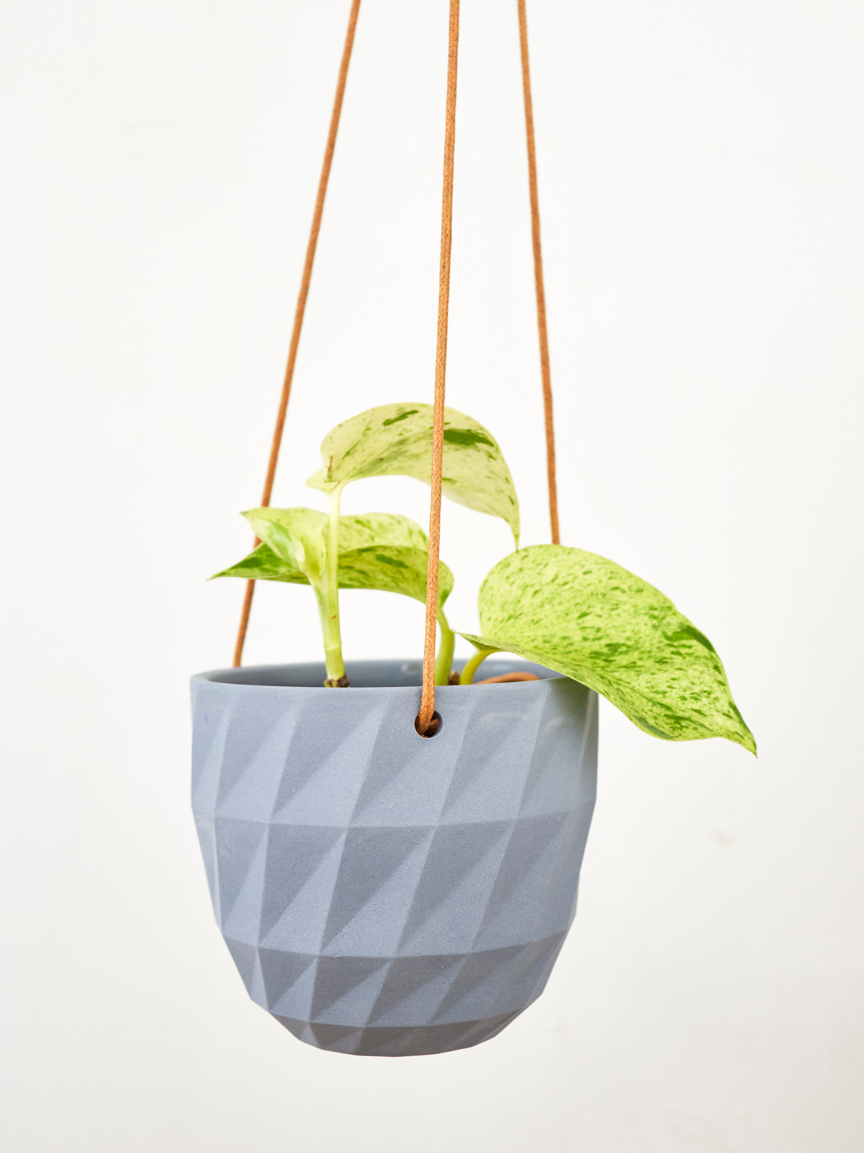 Virago Modern Hanging Planter - Grid