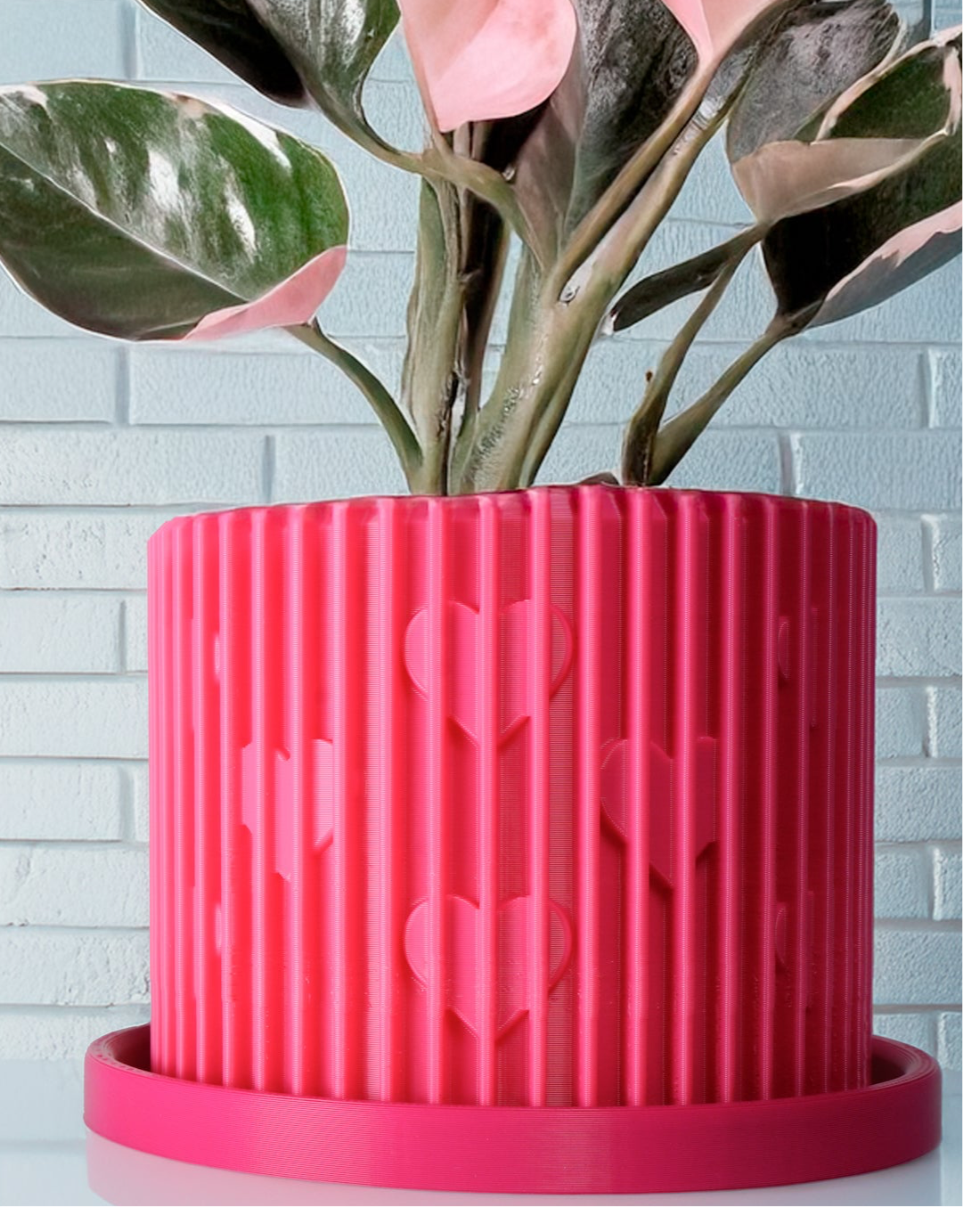 Modern Heart-Shaped Planter with Drainage & Saucer – Valentine’s Day Gift