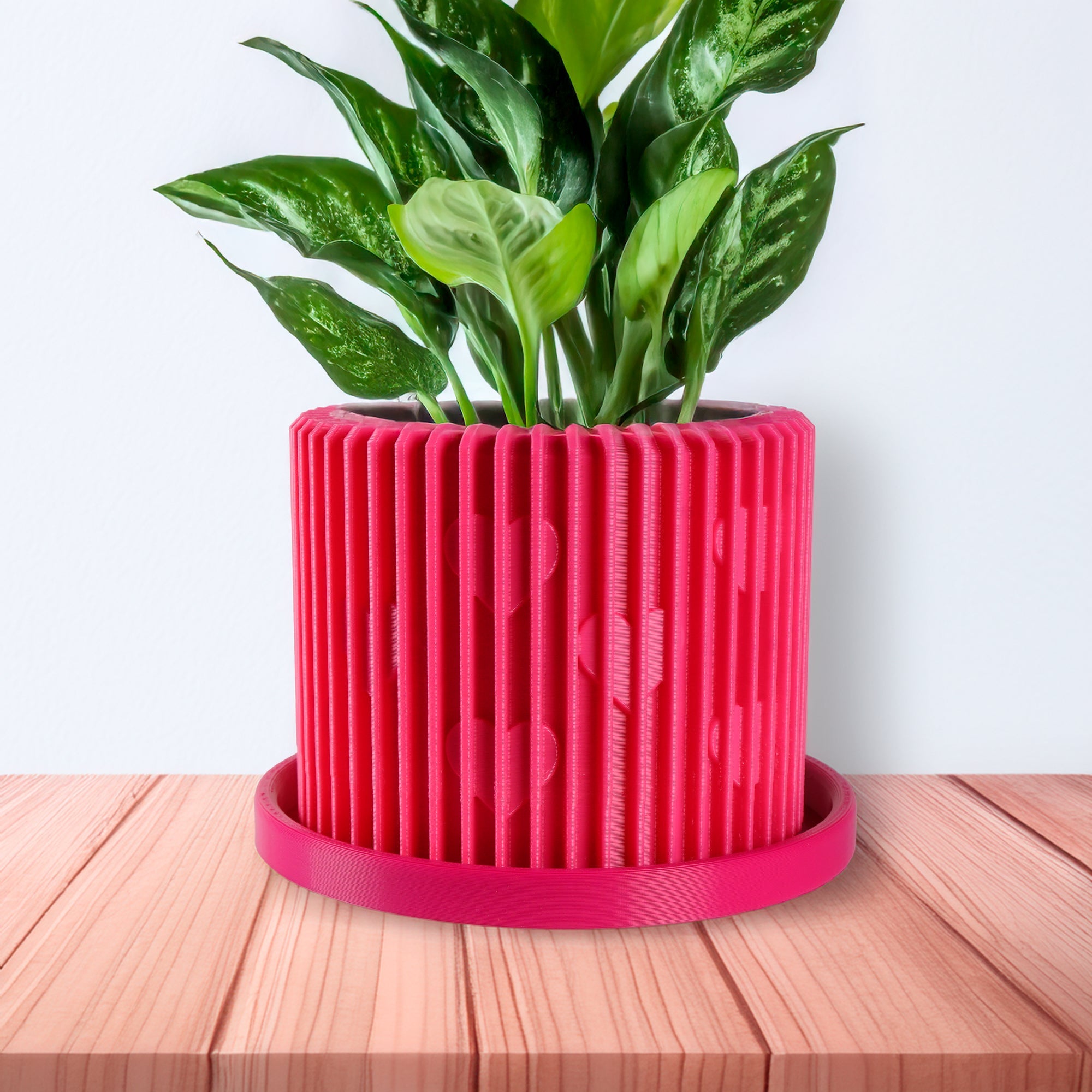 Modern Heart-Shaped Planter with Drainage & Saucer – Valentine’s Day Gift