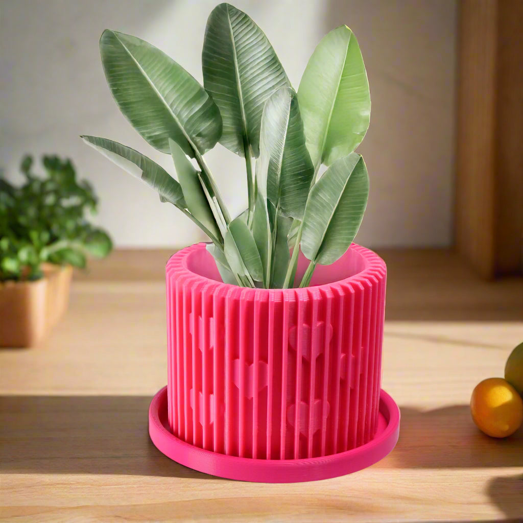 Modern Heart-Shaped Planter with Drainage & Saucer – Valentine’s Day Gift