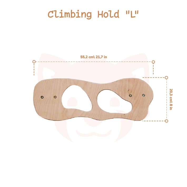 Indoor Climbing Wall