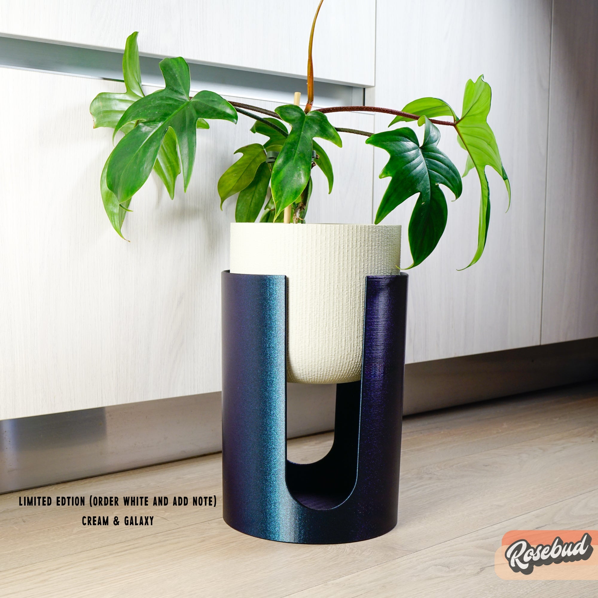 Modern Elevated Planter and Plant Stand Set