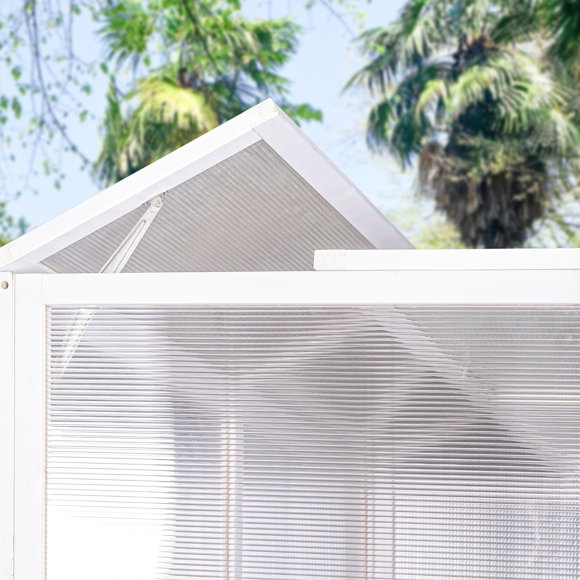 Heavy Duty Wooden Outdoor Greenhouse