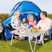 Folding Camping Table Picnic Table with Storage Bag -Silver
