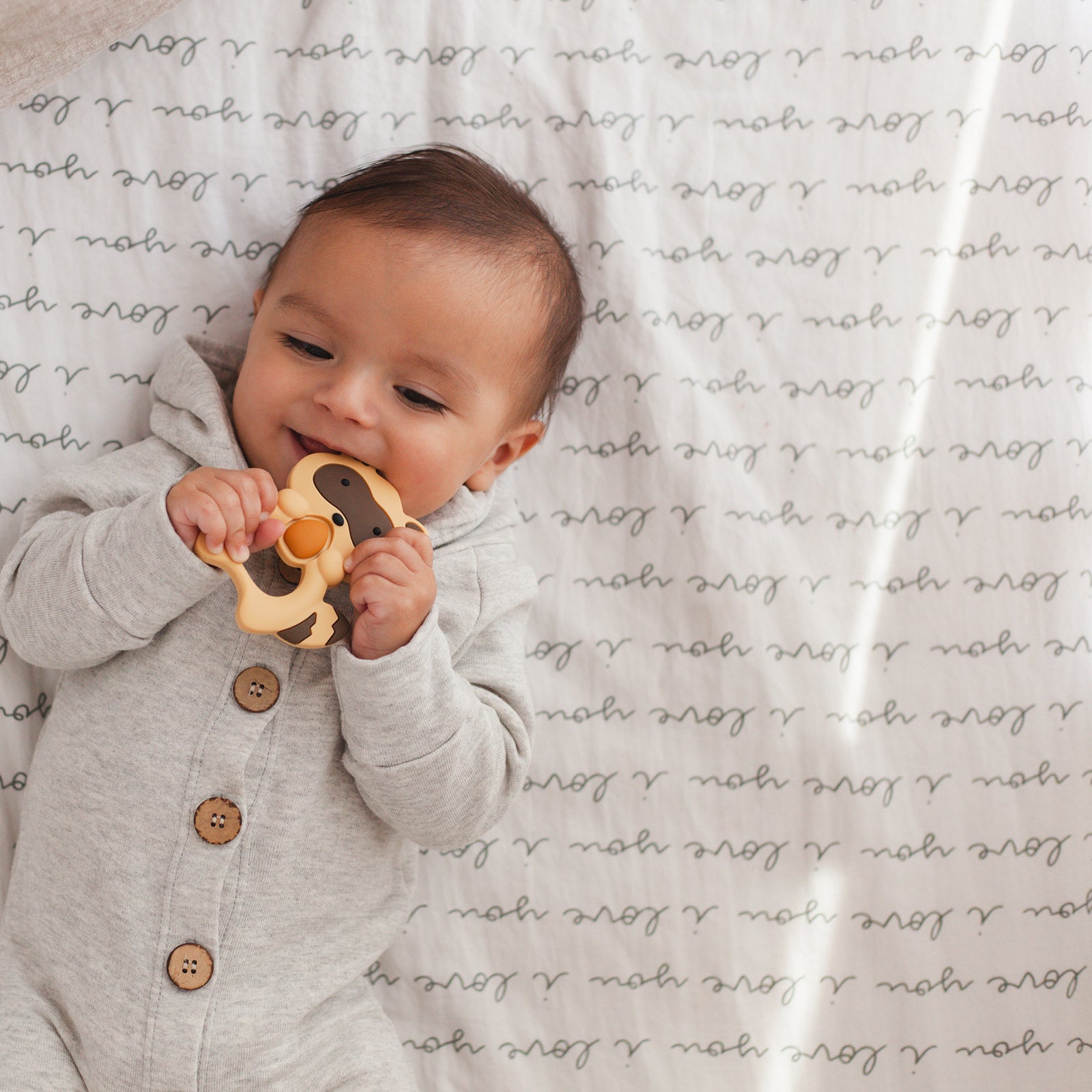 Raccoon Teether Set - Brown