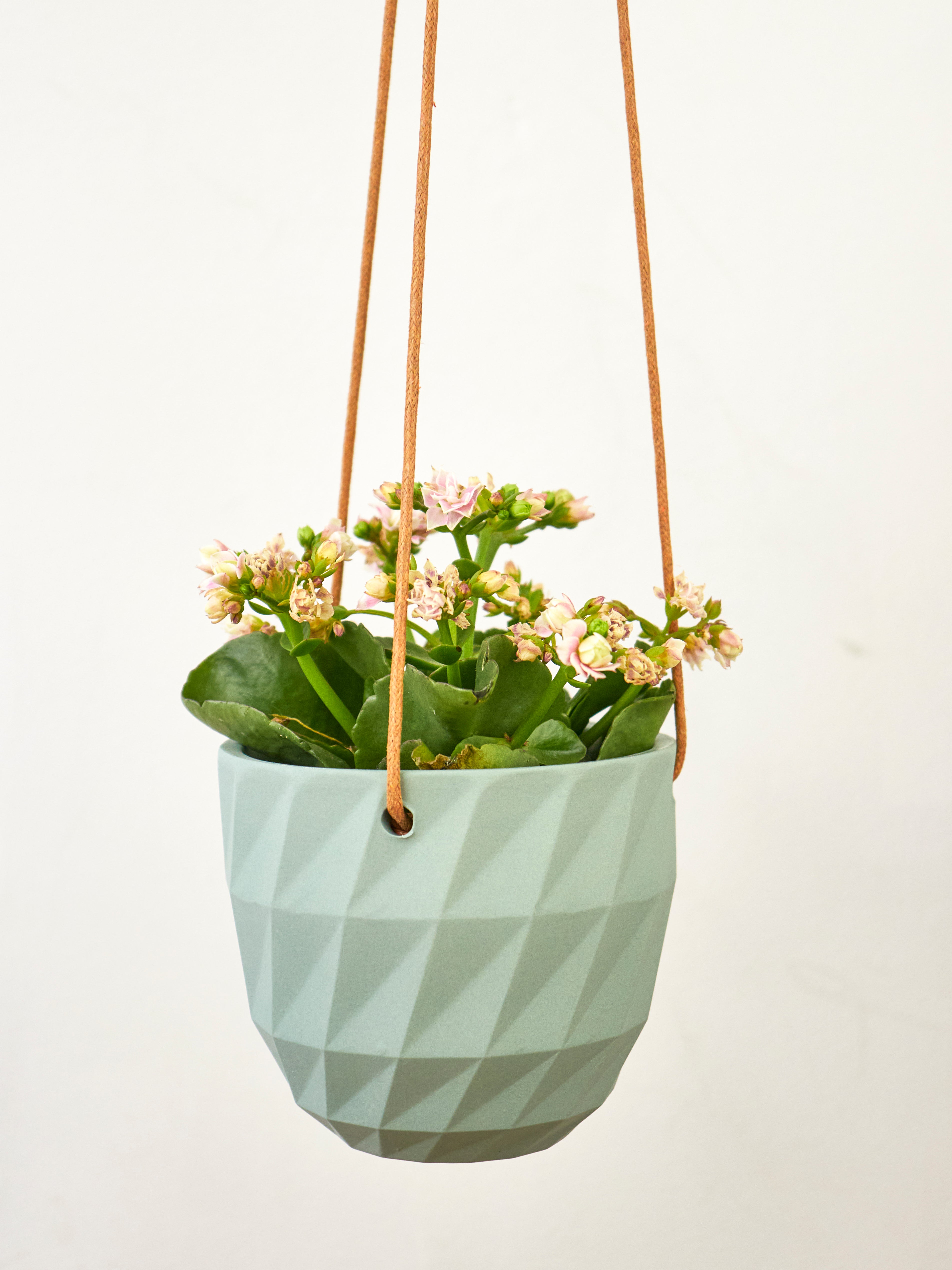 Virago Modern Hanging Planter - Grid