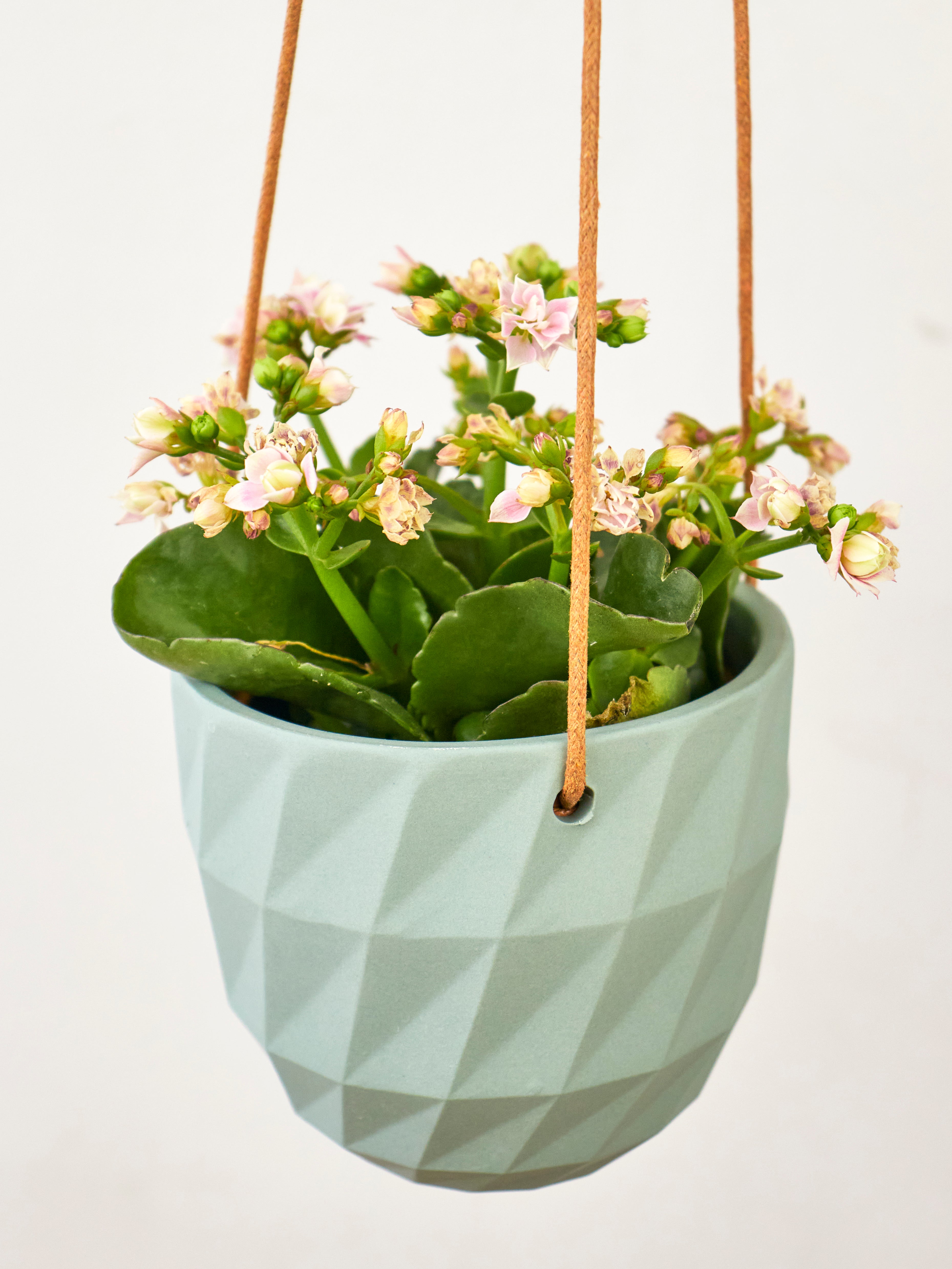 Virago Modern Hanging Planter - Grid