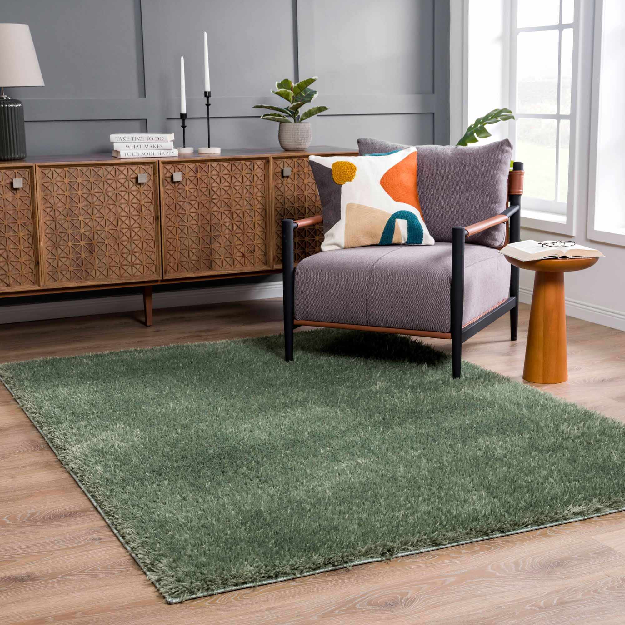 Faina Solid Green Shag Washable Area Rug - Clearance