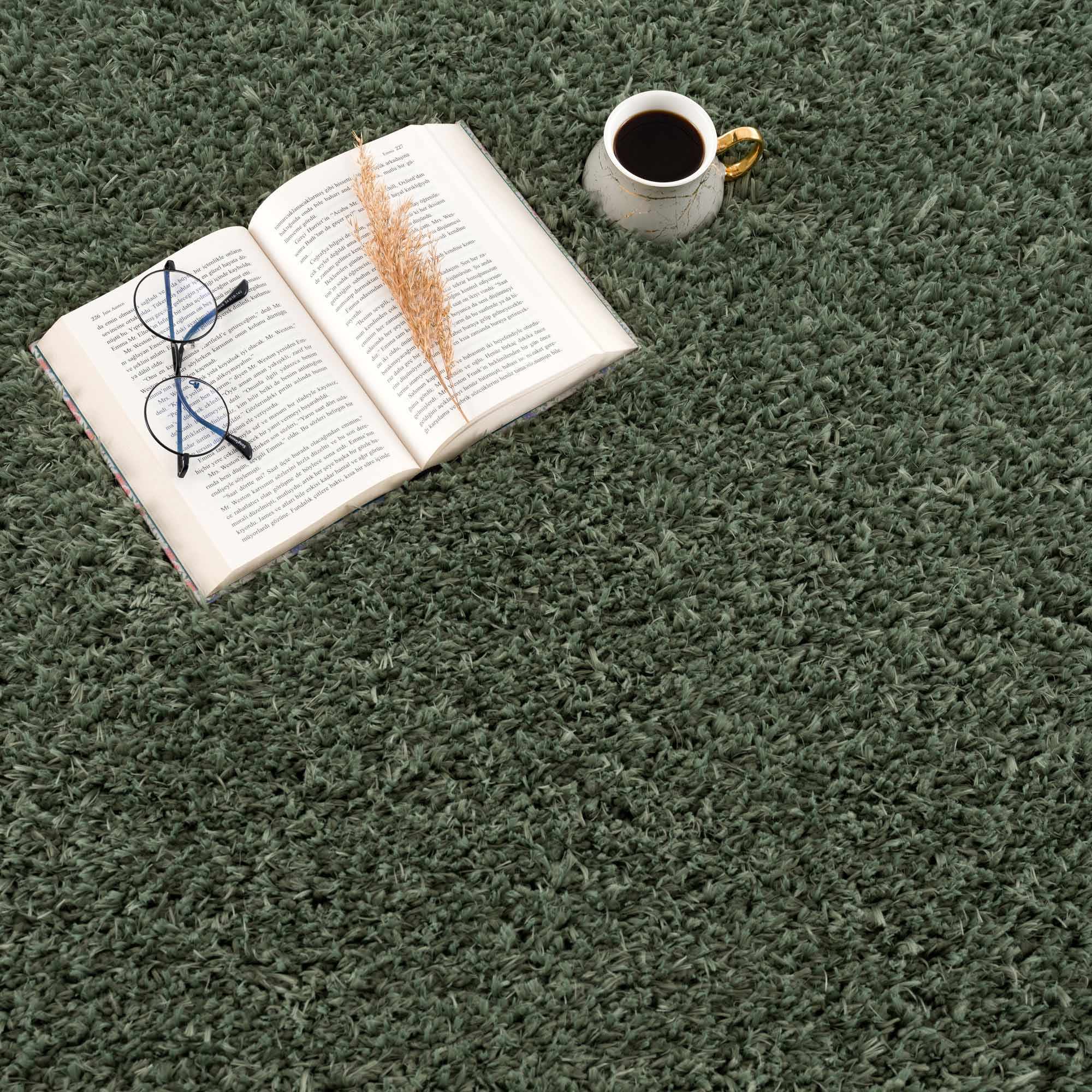 Faina Solid Green Shag Washable Area Rug - Clearance