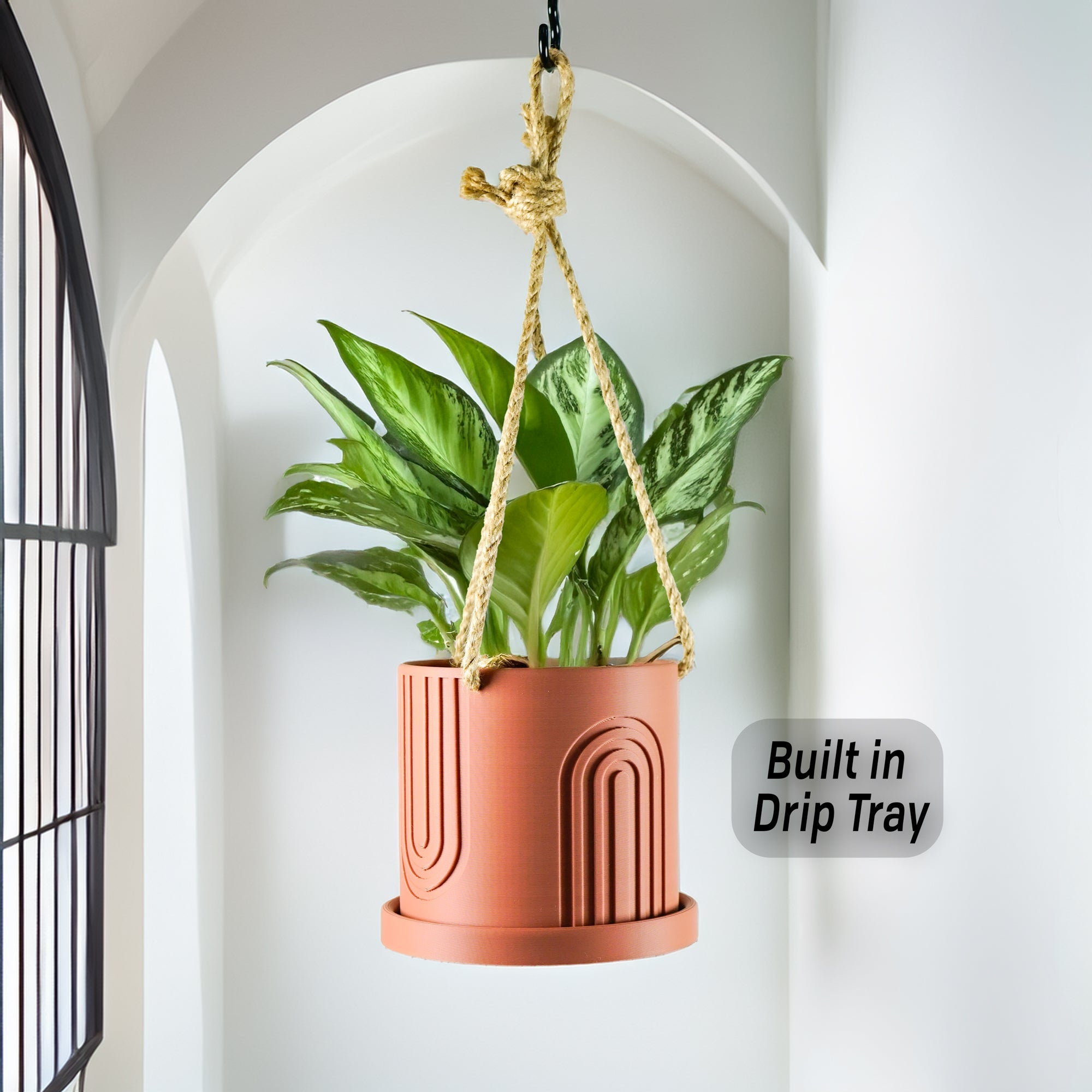 Hanging Planter