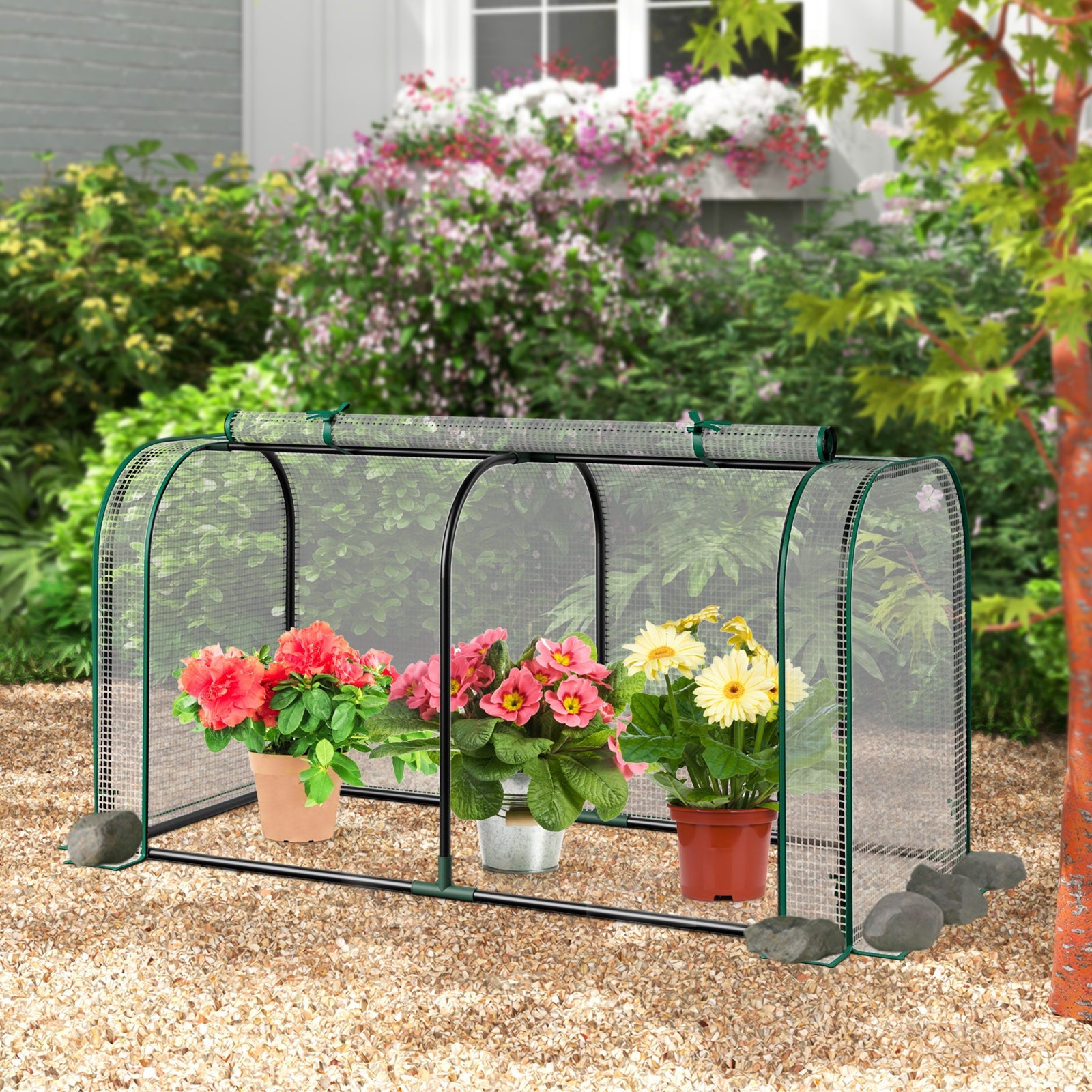 Mini Tunnel Greenhouse with Roll-up Zipper Door-White