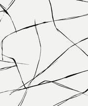 Inkwork Abstract Premium Peel and Stick Removable Wallpaper
