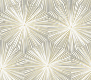 Hex Starburst Peel and Stick Removable Wallpaper