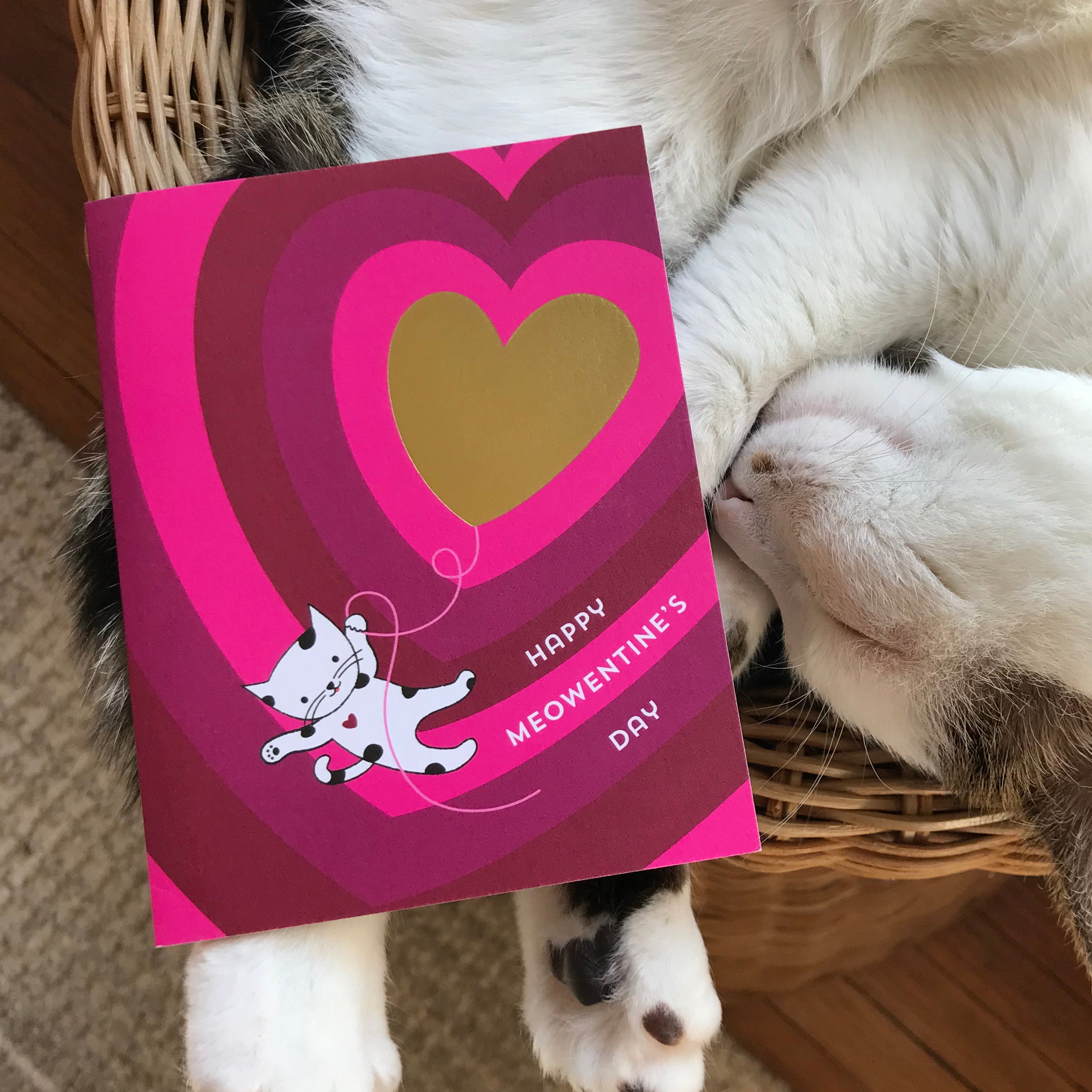 Meowentine Foil-Stamped Valentine's Day Card
