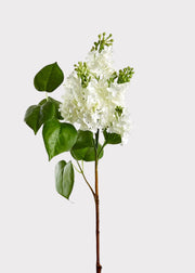 Premium Artificial Blooming Lilac Branch in White - 26"