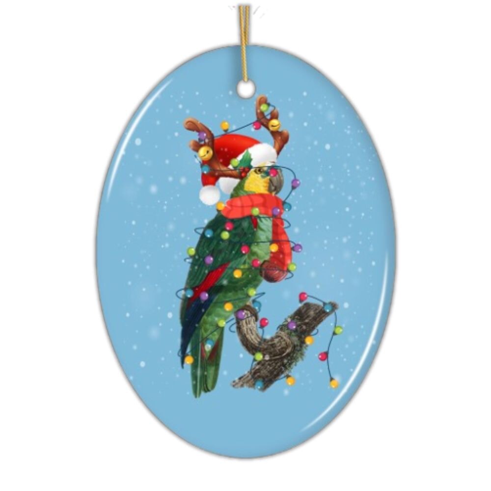 Parrot Christmas Ornament Ceramic Ornament OrnamentallyYou 