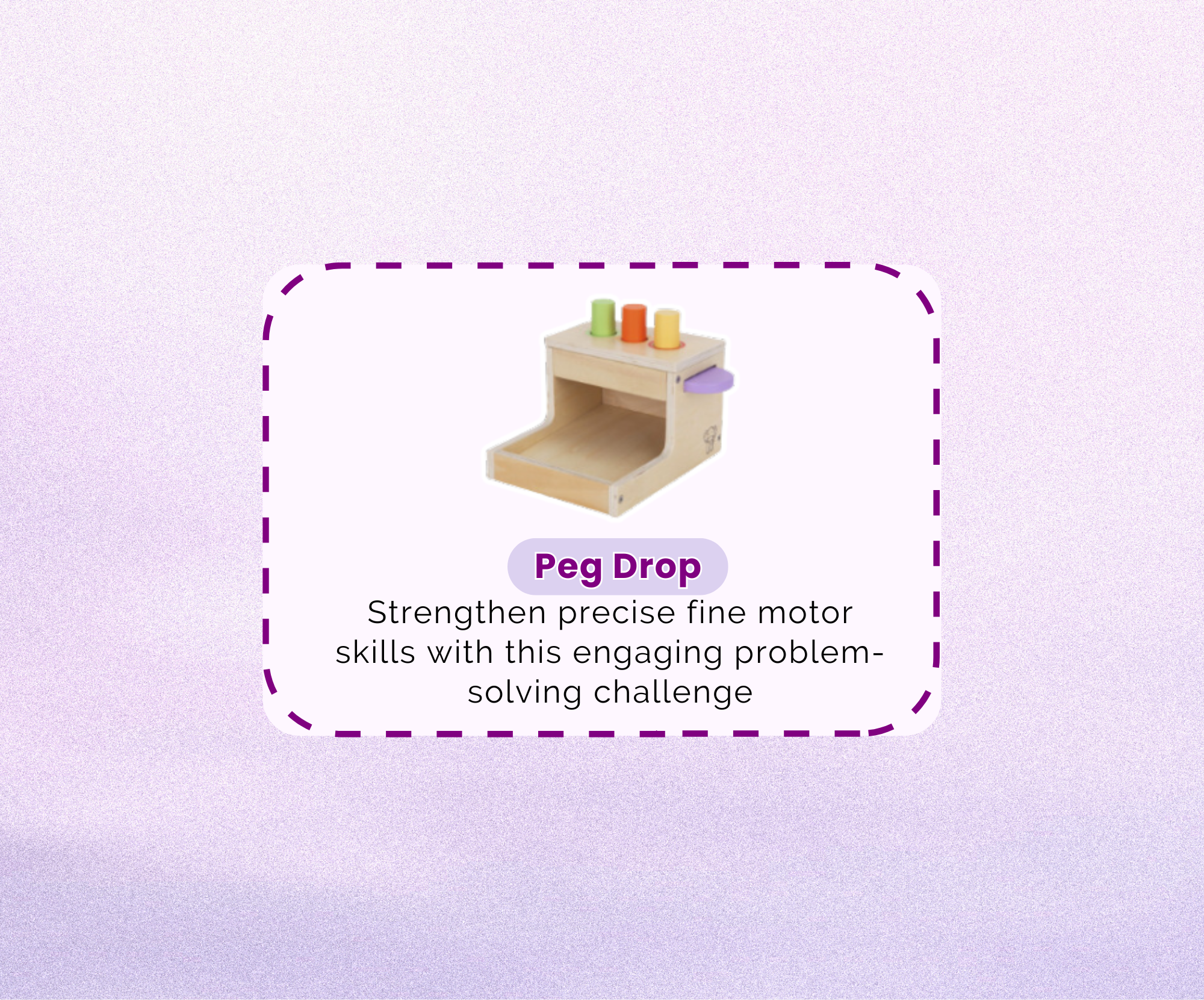 Montessori Educational Box (11-12 months)