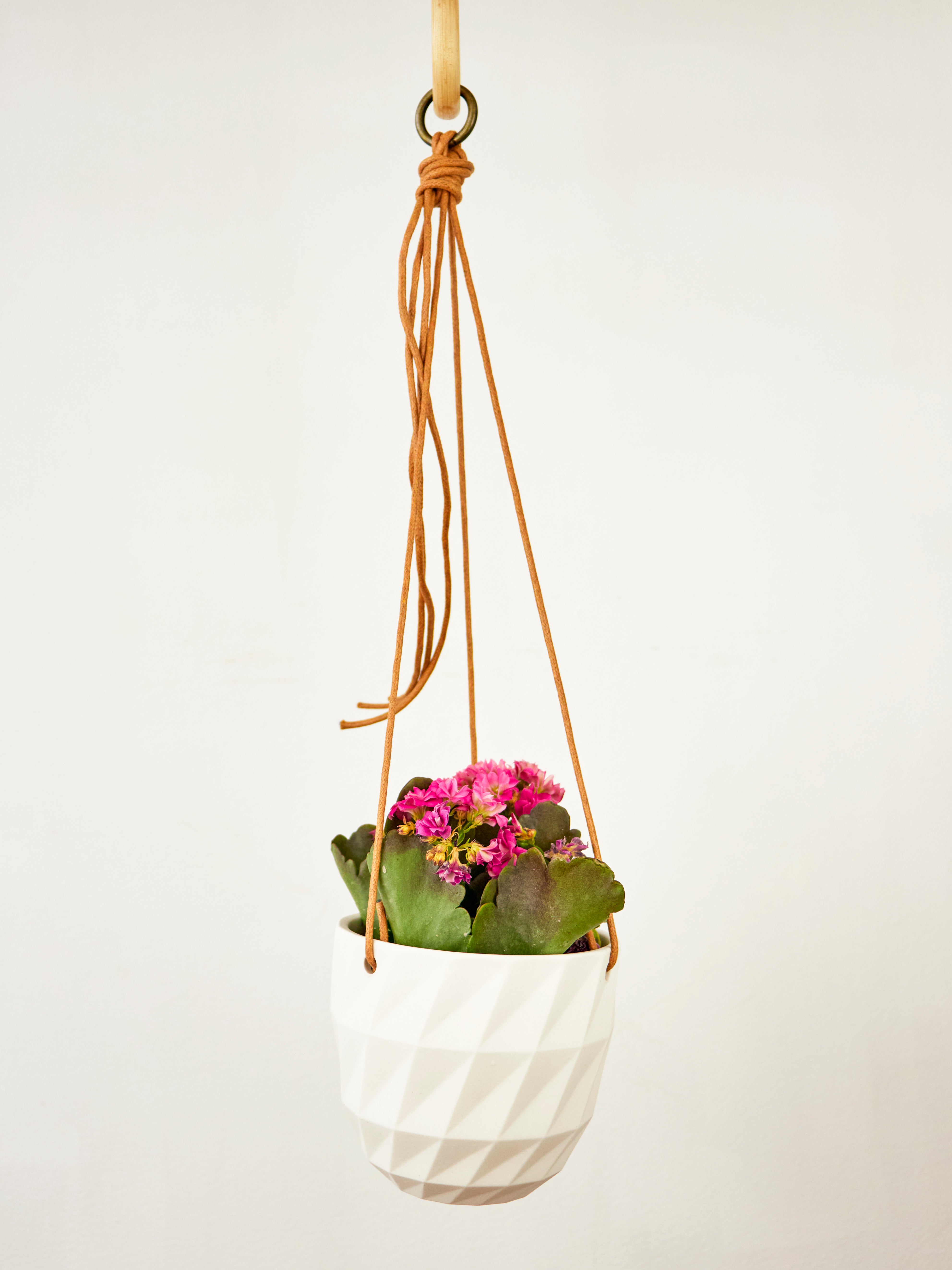 Virago Modern Hanging Planter - Grid