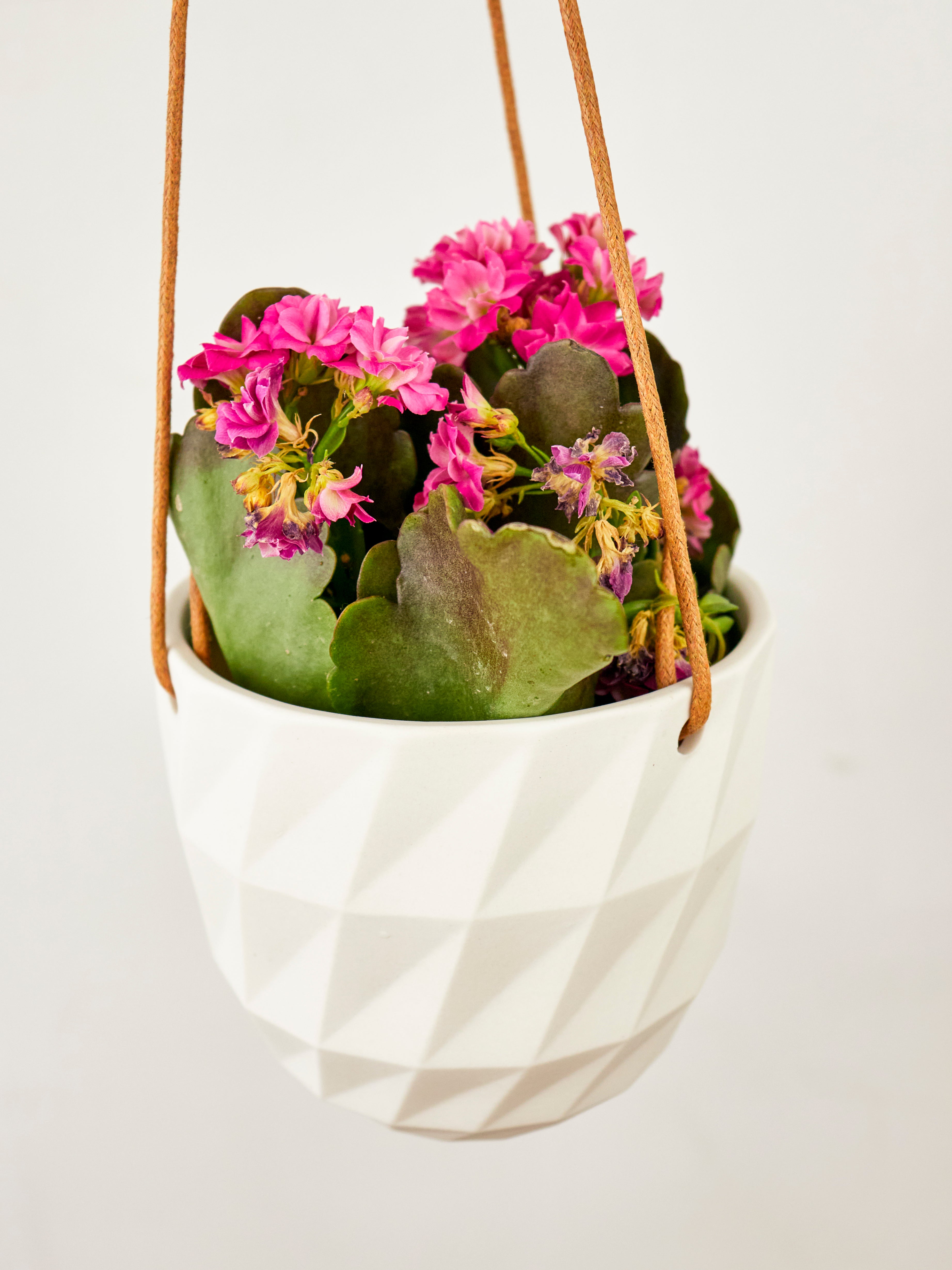 Virago Modern Hanging Planter - Grid