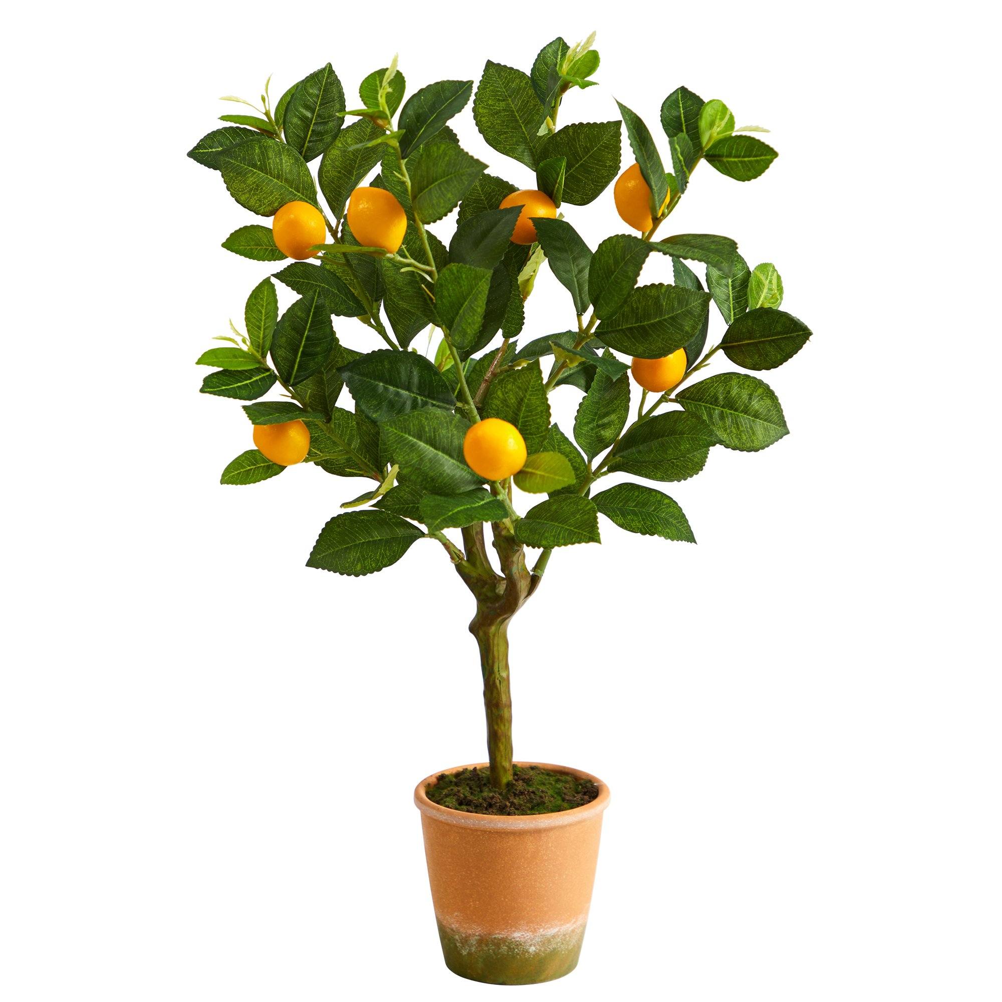 Linensnthings.com 24” Lemon Artificial Tree – Linens N Things