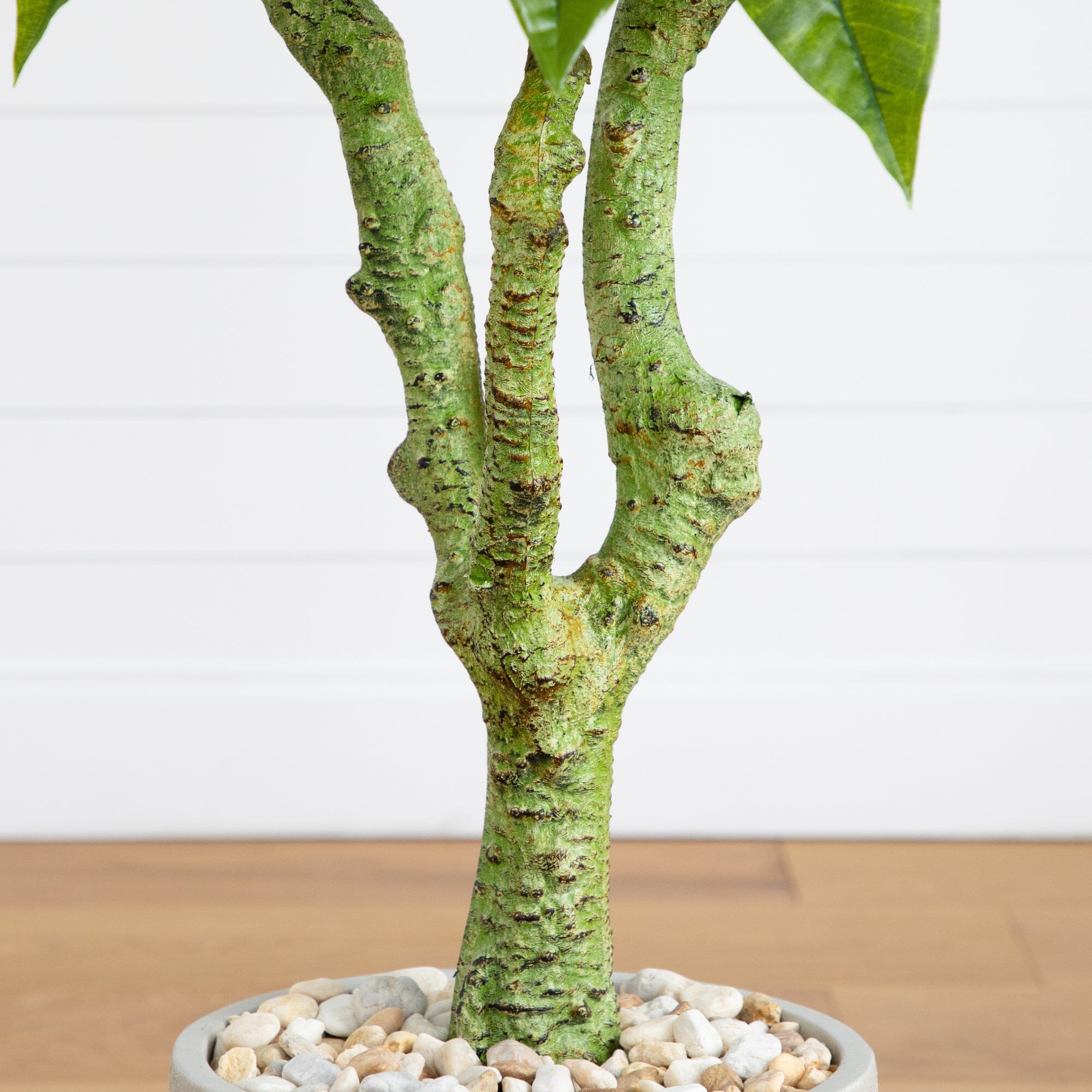 5’ Plumeria Artificial Tree in Decorative Planter