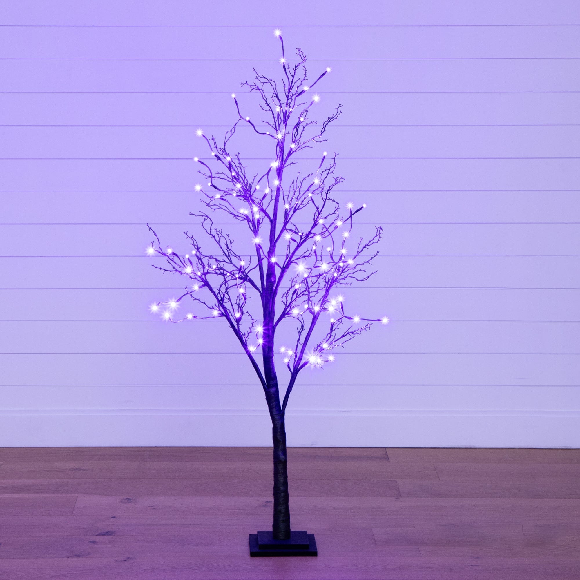 5’ Pre-Lit Halloween Deluxe Black Twig Artificial Tree with LED Lights