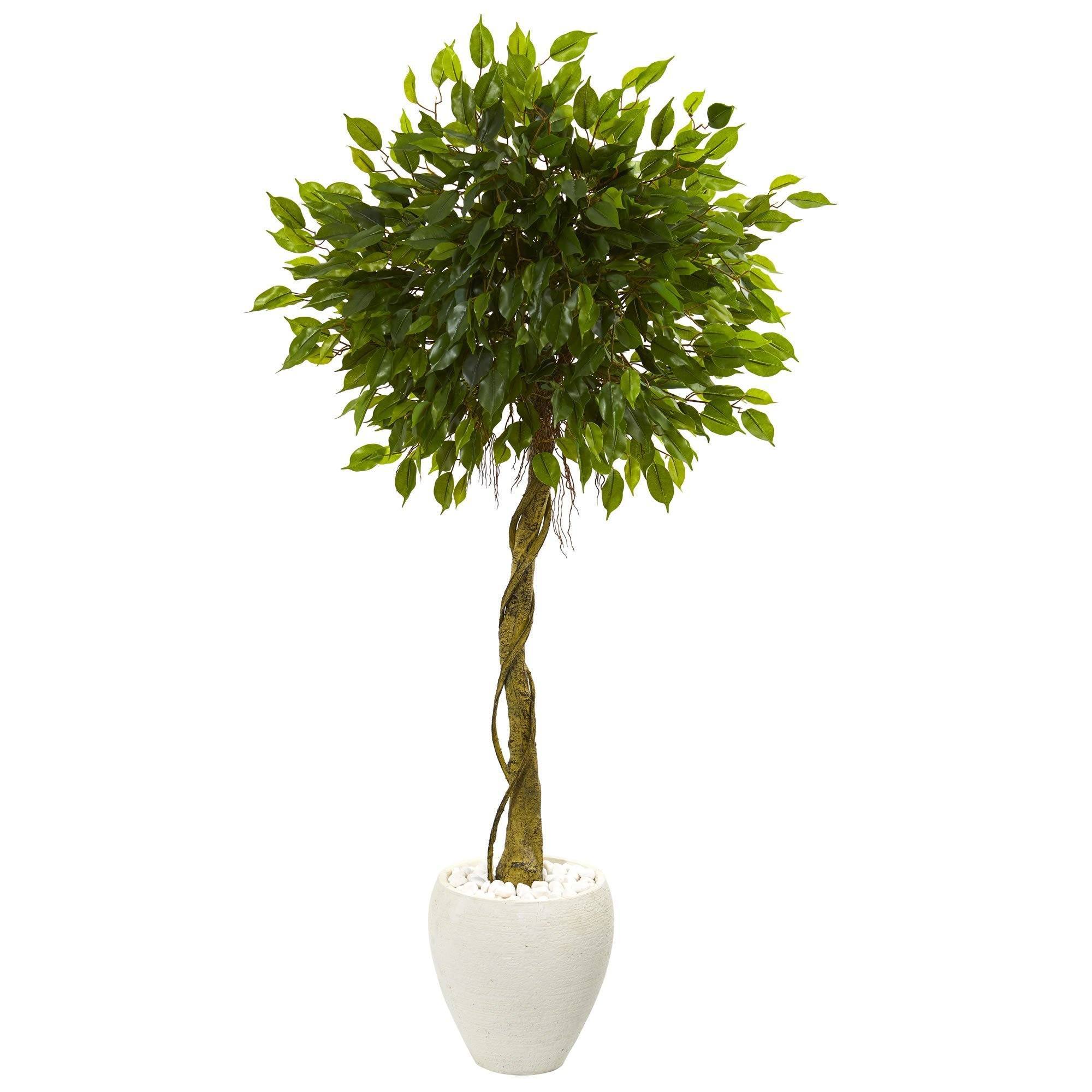 5.5’ Ficus Artificial Tree in White Oval Planter