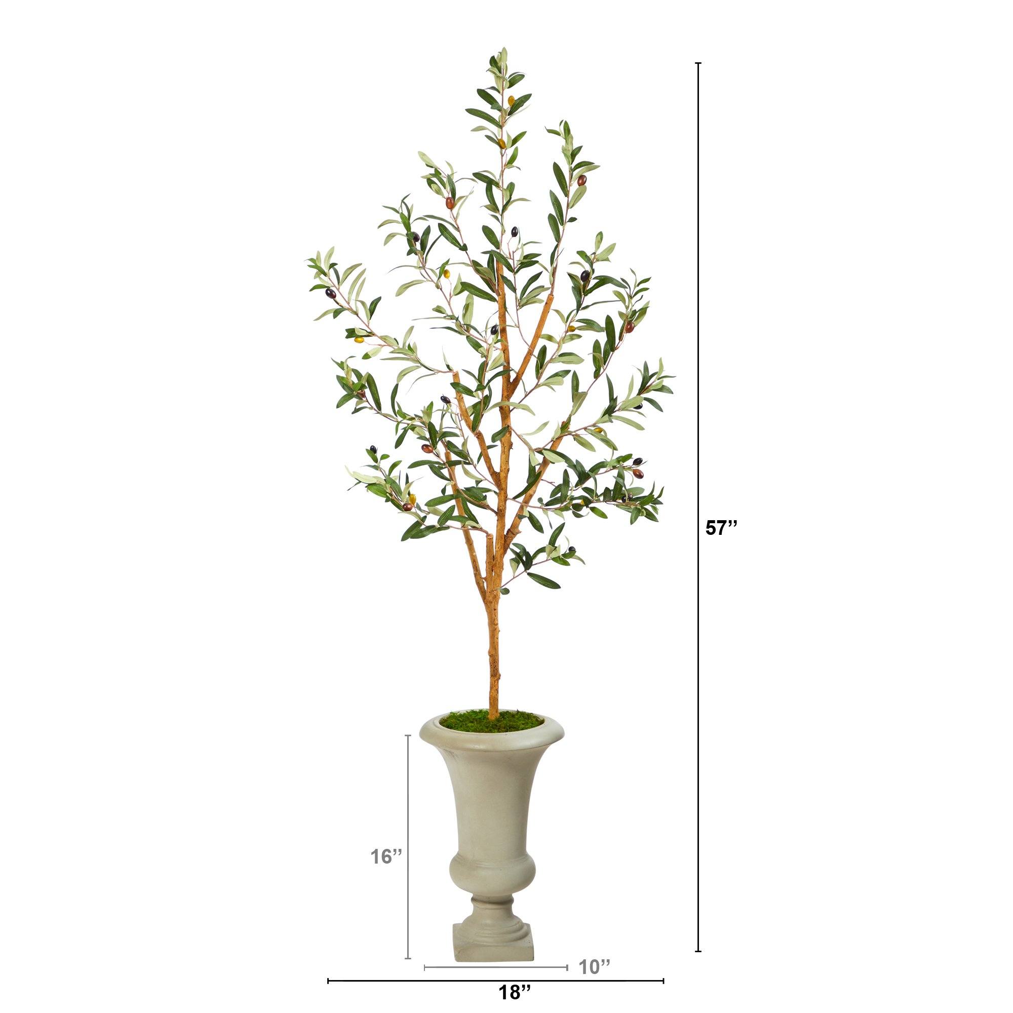 57” Olive Artificial Tree in Sand Colored Urn