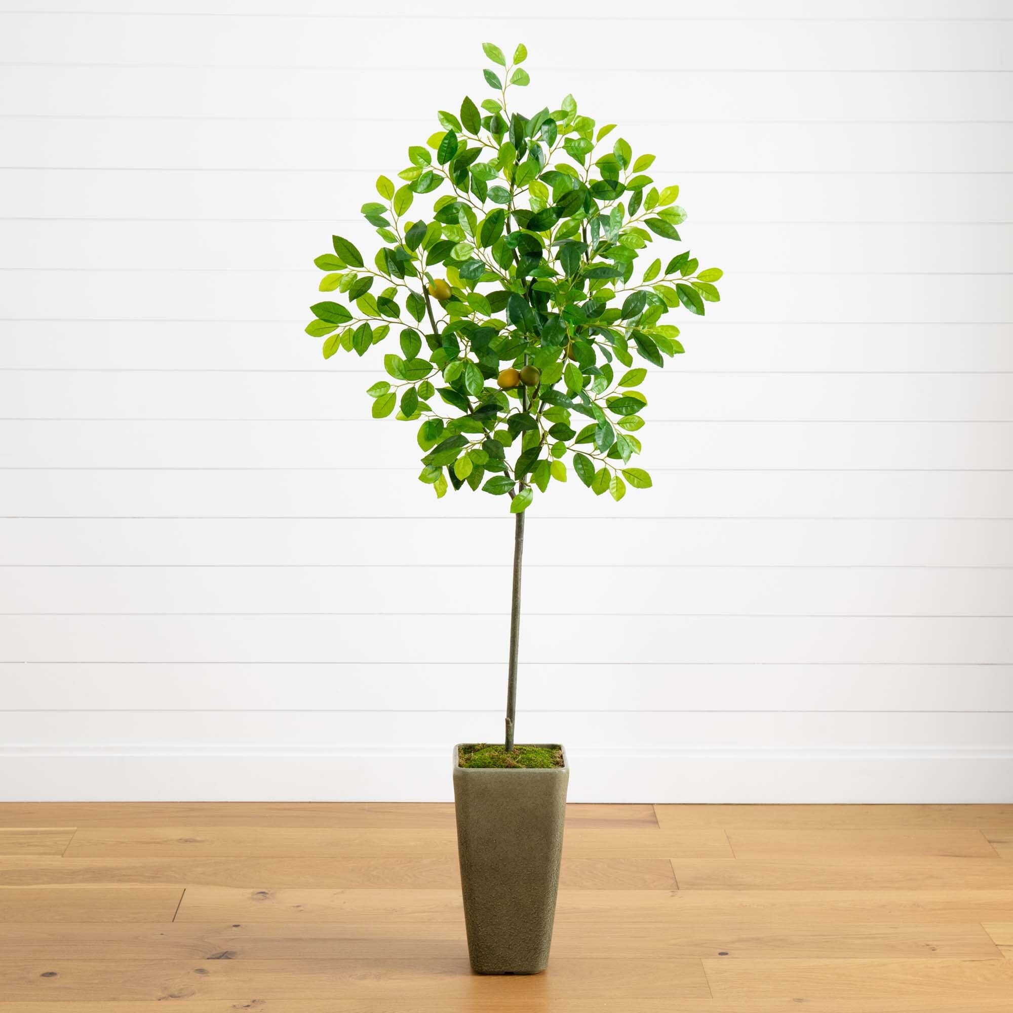 Linensnthings.com 6’ Lemon Artificial Tree in Olive Green Planter ...