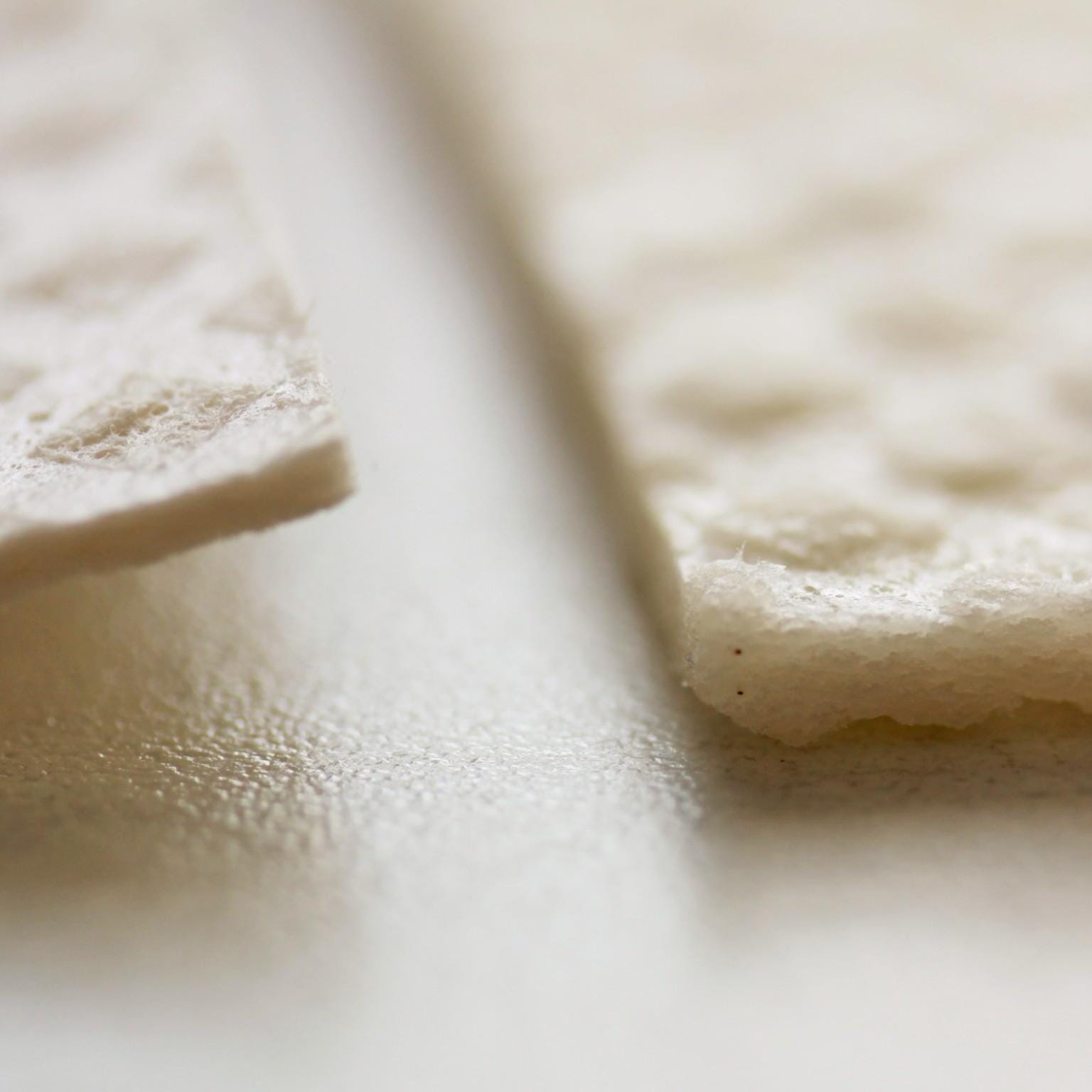 Paw Print Heart Swedish Dishcloth | Dog Lovers